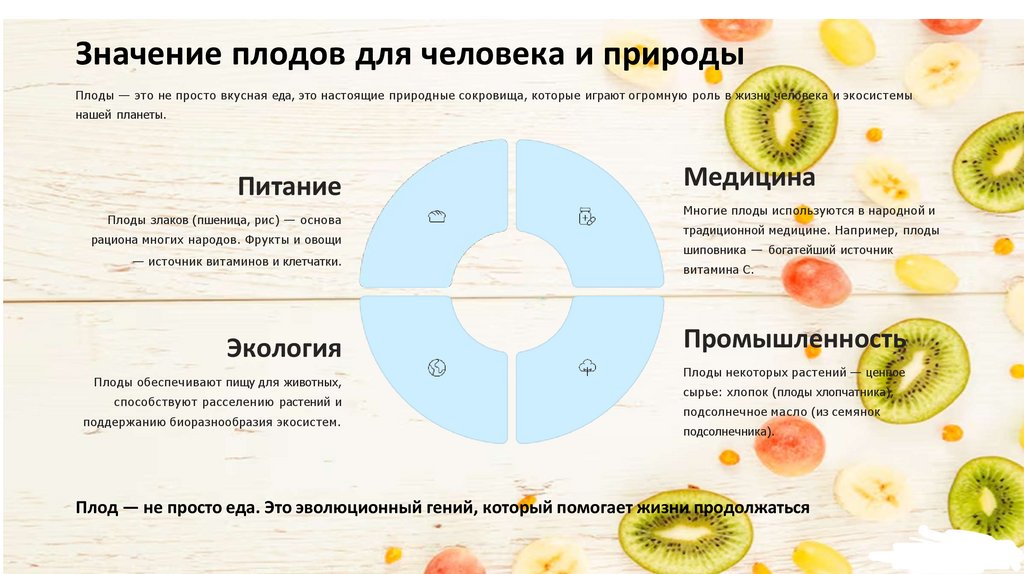 Значение плодов для человека и природы