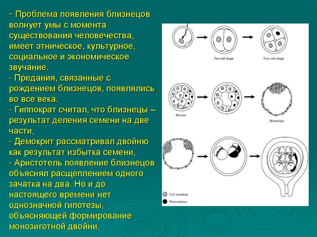 - Проблема появления близнецов волнует умы с момента существования человечества, имеет этническое, культурное, социальное и