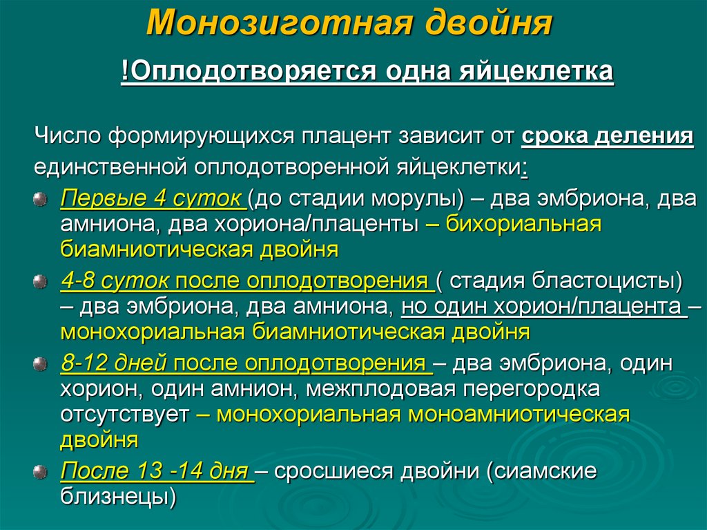 Монозиготная двойня