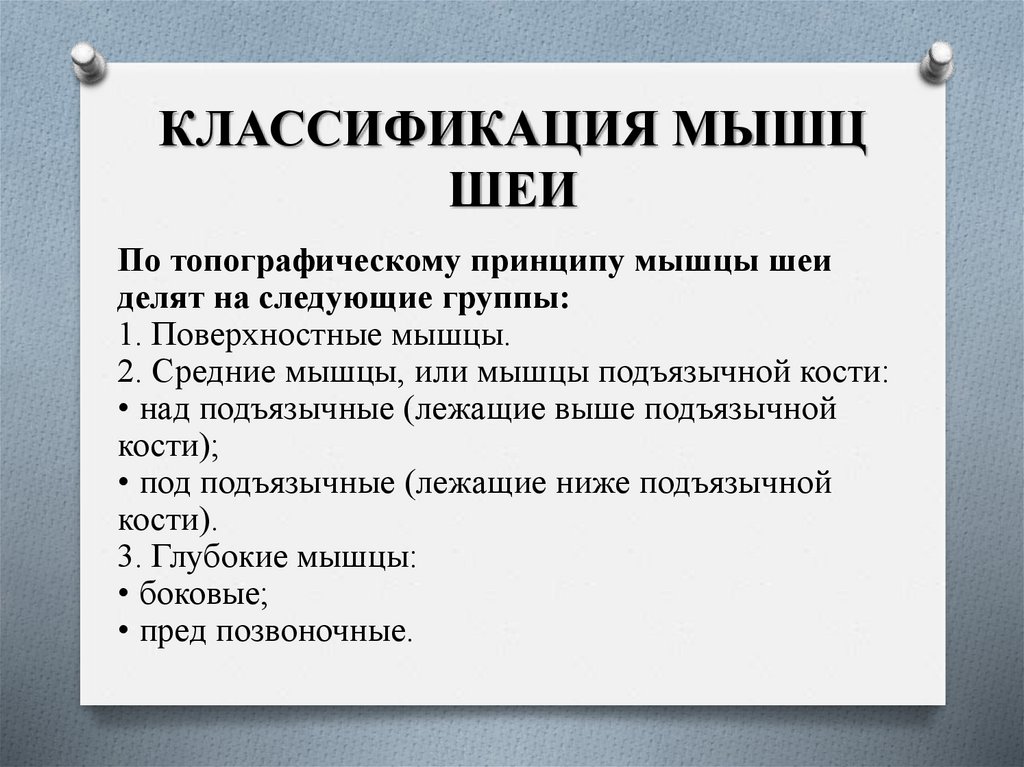 КЛАССИФИКАЦИЯ МЫШЦ ШЕИ
