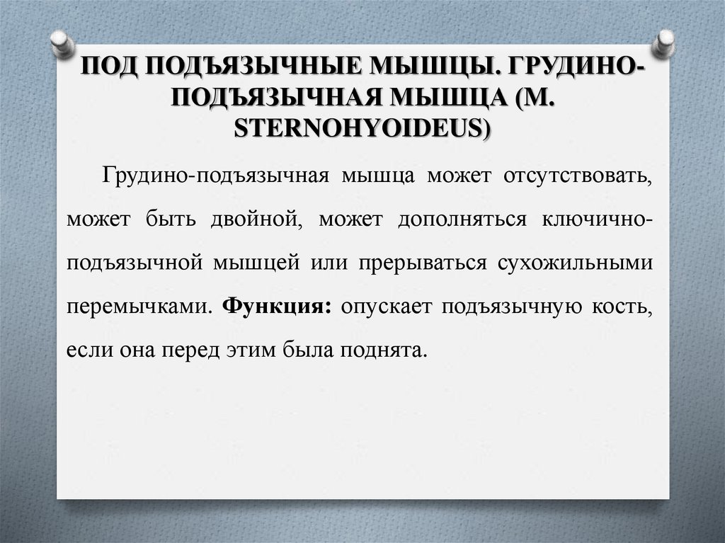 ПОД ПОДЪЯЗЫЧНЫЕ МЫШЦЫ. ГРУДИНО-ПОДЪЯЗЫЧНАЯ МЫШЦА (M. STERNOHYOIDEUS)
