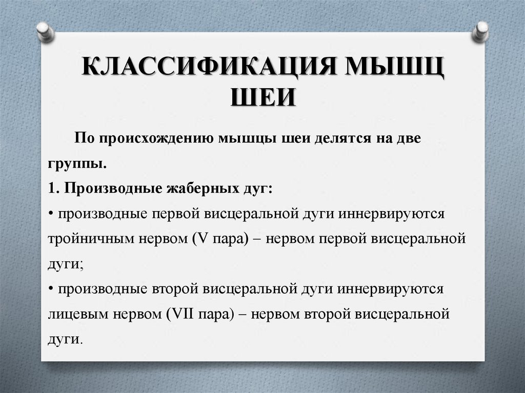 КЛАССИФИКАЦИЯ МЫШЦ ШЕИ