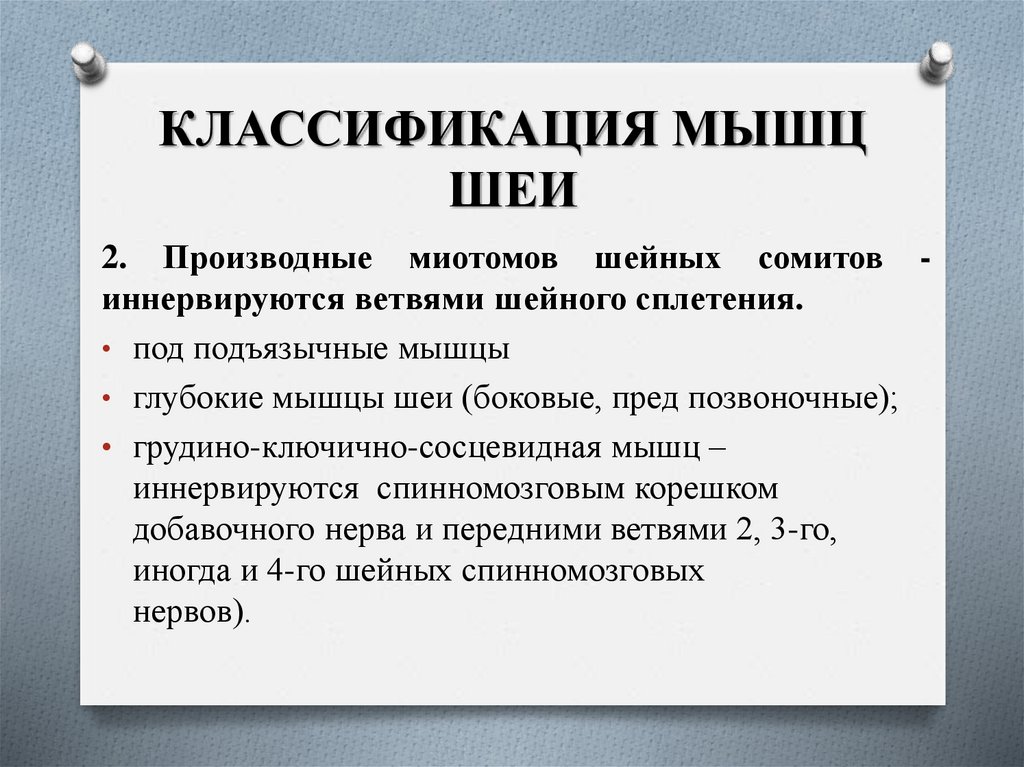 КЛАССИФИКАЦИЯ МЫШЦ ШЕИ