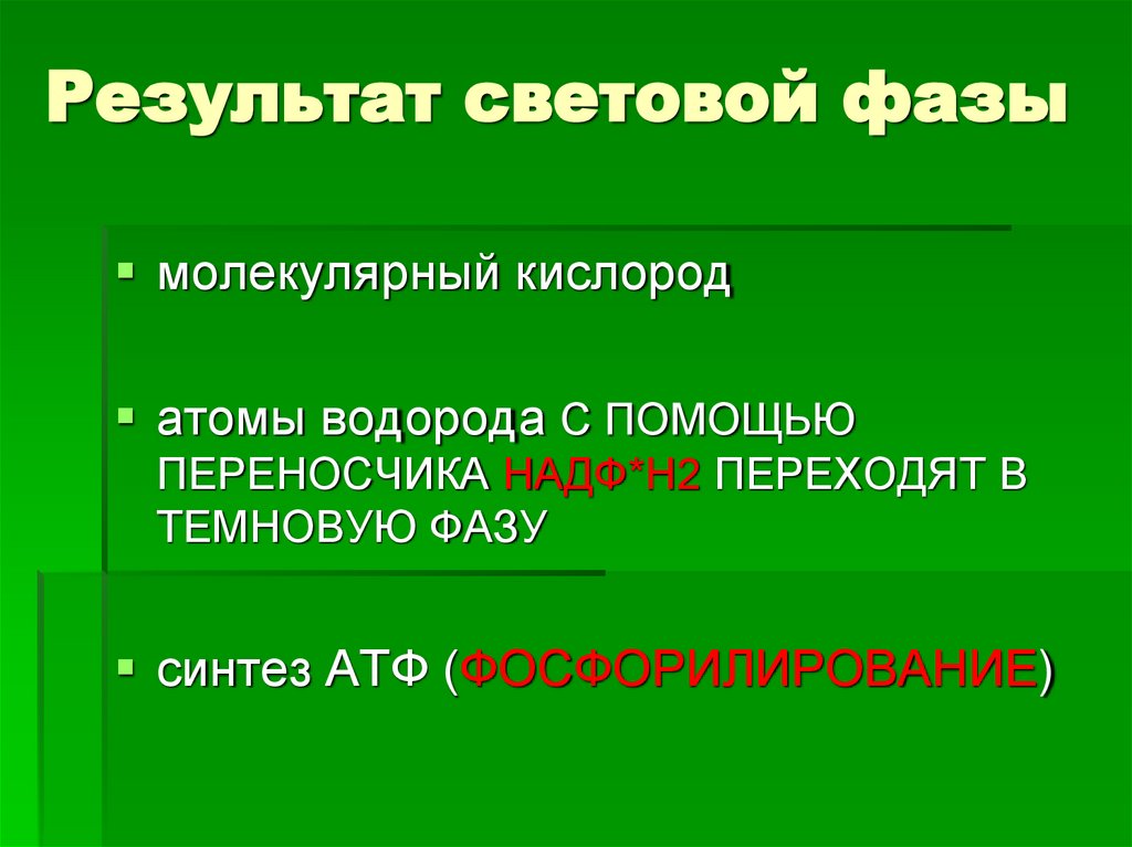 Результат световой фазы