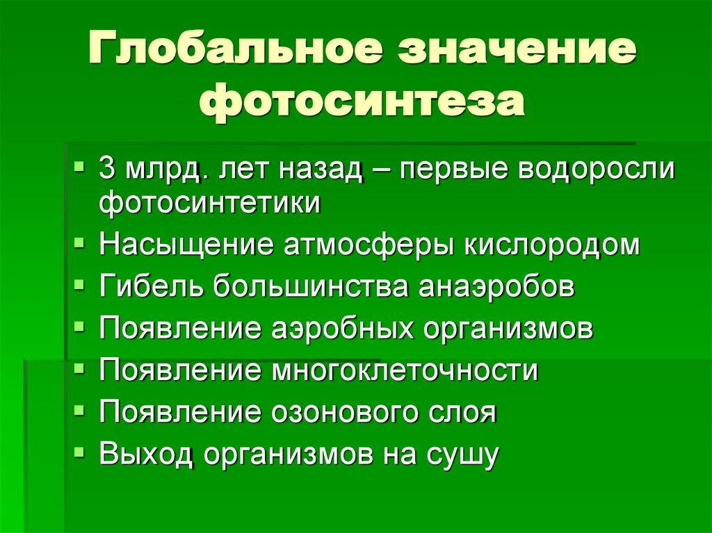 Глобальное значение фотосинтеза