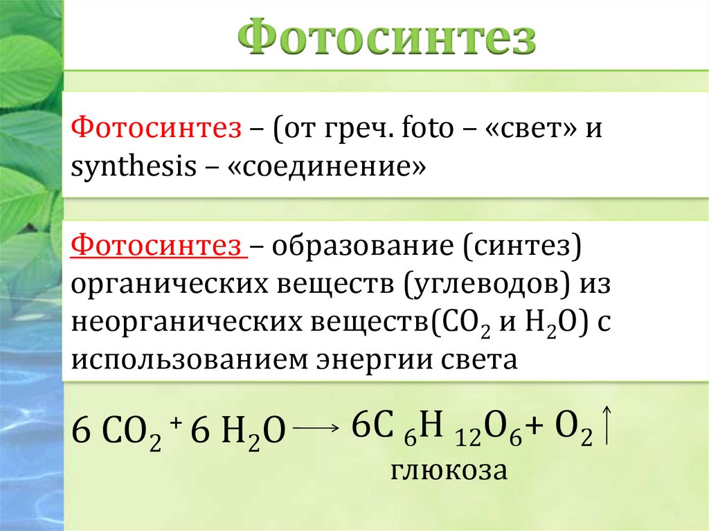 Фотосинтез – (от греч. foto – «cвет» и synthesis – «соединение»