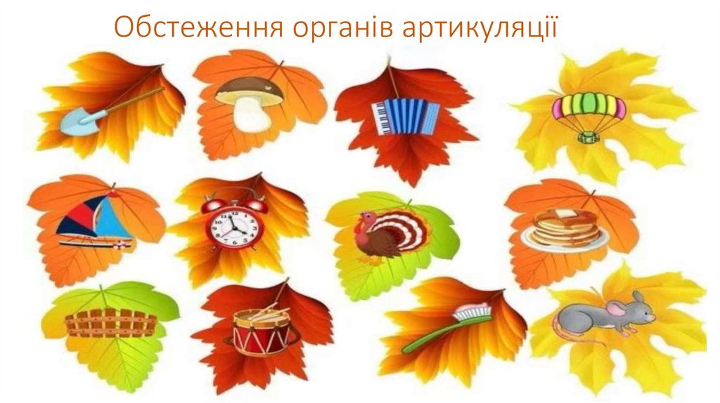 Обстеження органів артикуляції