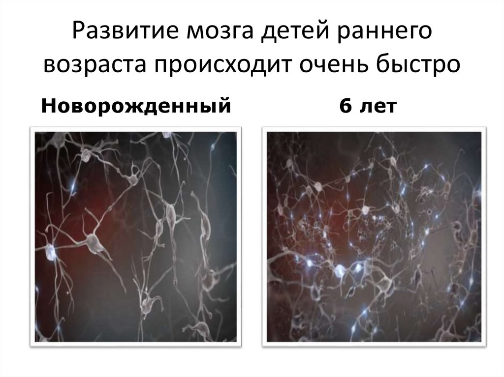 Развитие мозга детей раннего возраста происходит очень быстро