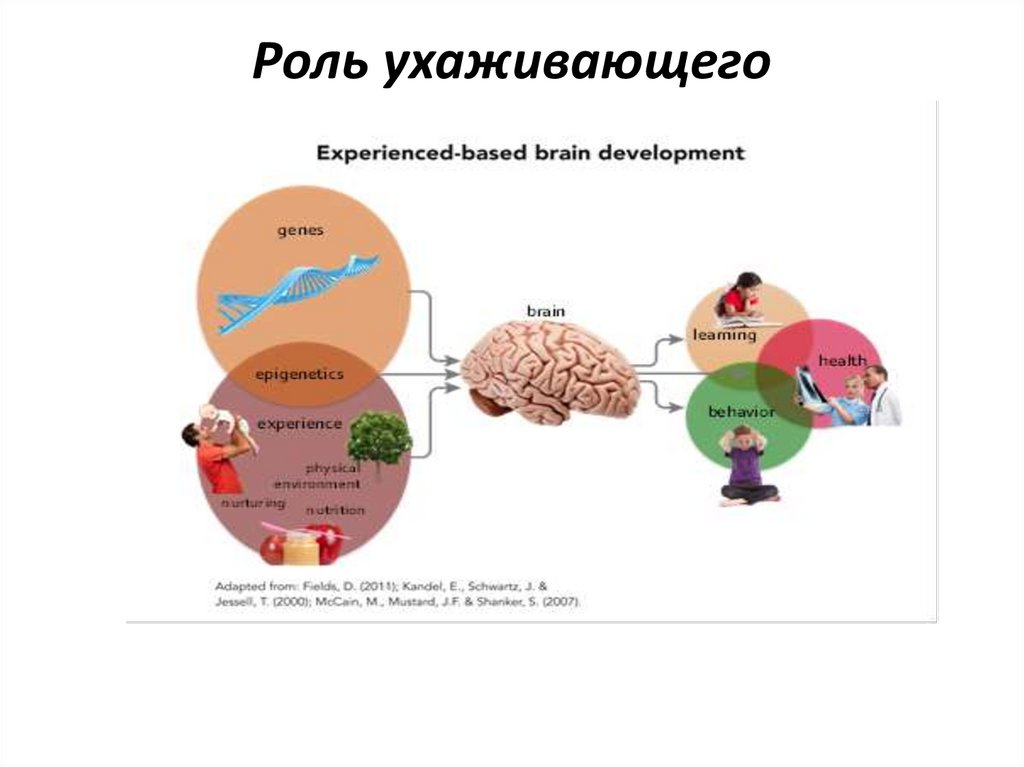 Роль ухаживающего