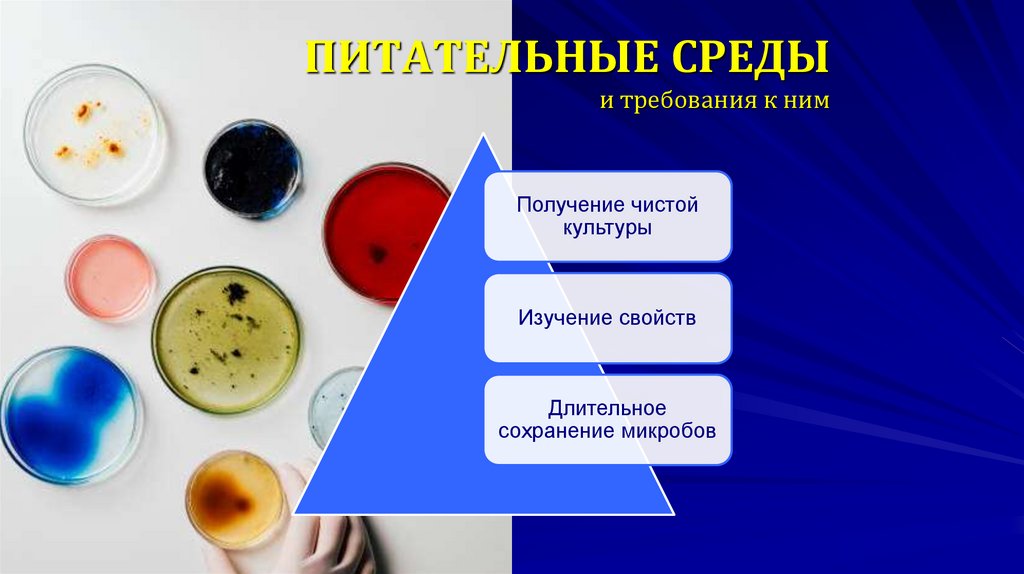 ПИТАТЕЛЬНЫЕ СРЕДЫ и требования к ним