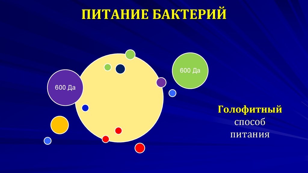 ПИТАНИЕ БАКТЕРИЙ