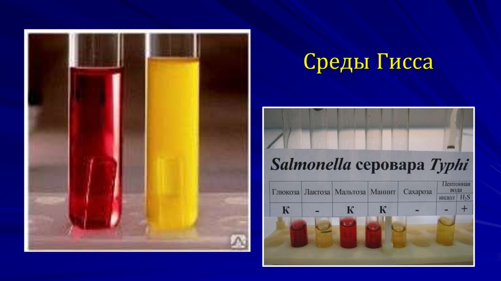 Среды Гисса