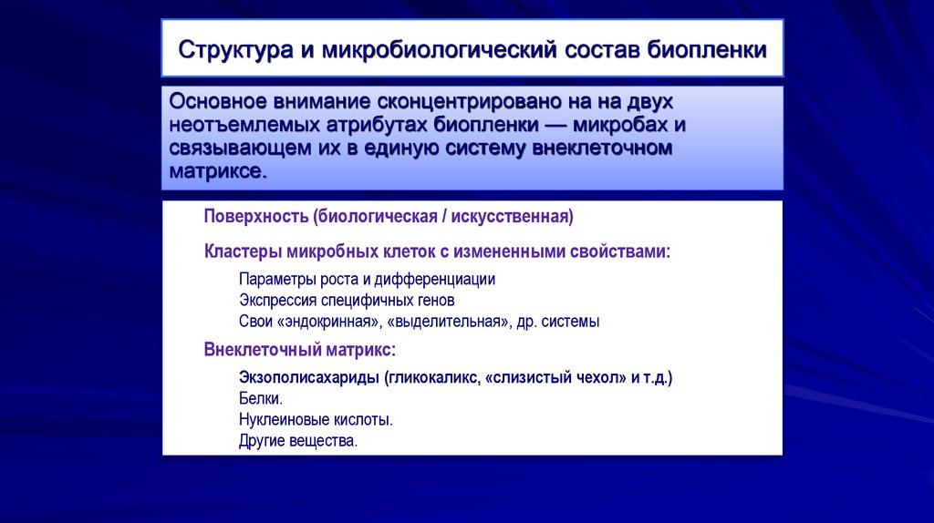 Структура и микробиологический состав биопленки