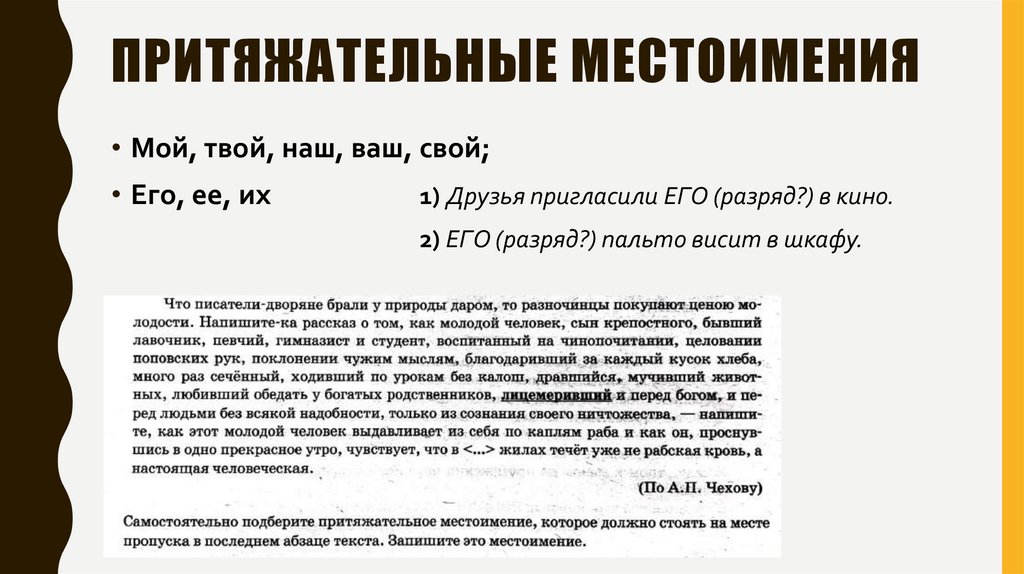 Притяжательные местоимения