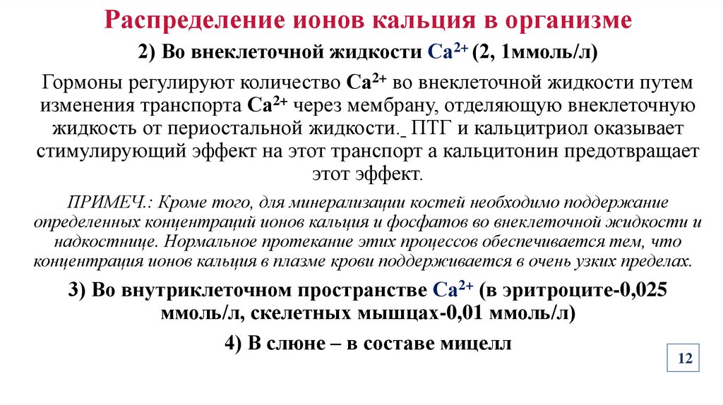 Распределение ионов кальция в организме