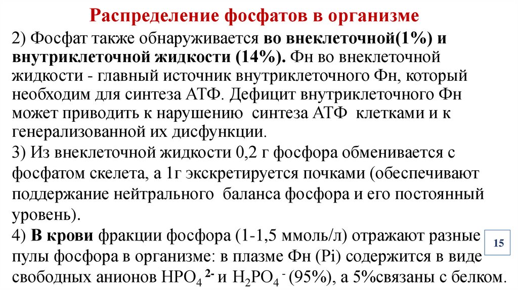 Распределение фосфатов в организме