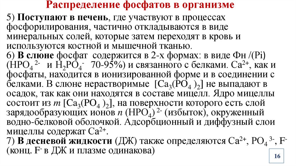 Распределение фосфатов в организме