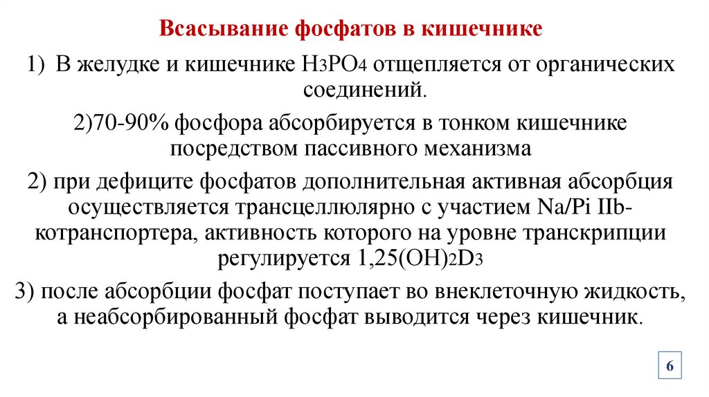 Всасывание фосфатов в кишечнике