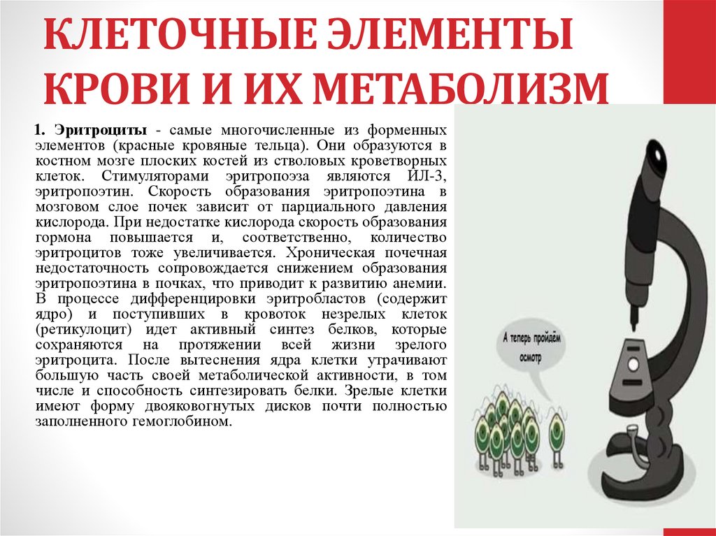 КЛЕТОЧНЫЕ ЭЛЕМЕНТЫ КРОВИ И ИХ МЕТАБОЛИЗМ