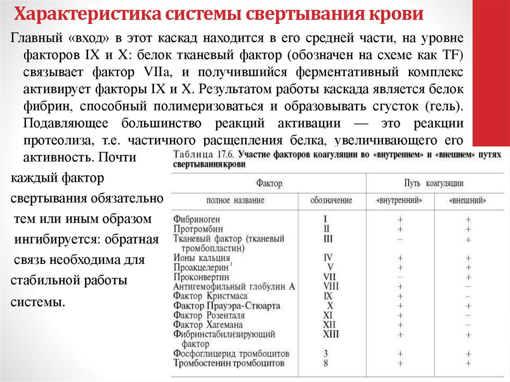 Характеристика системы свертывания крови