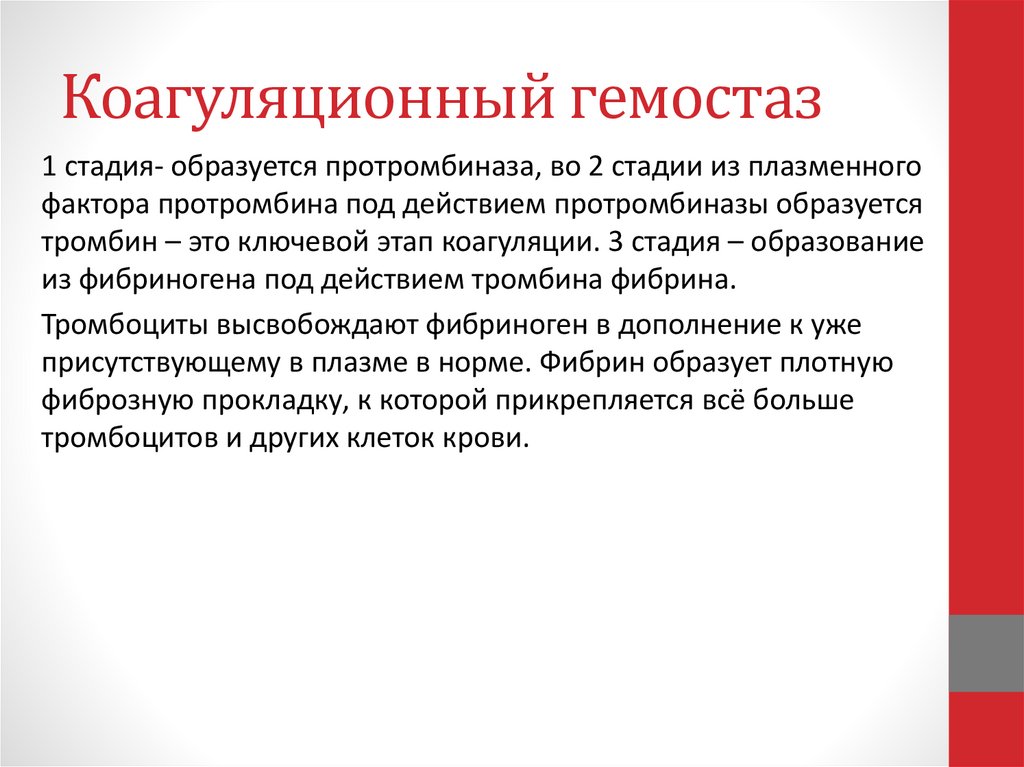 Коагуляционный гемостаз