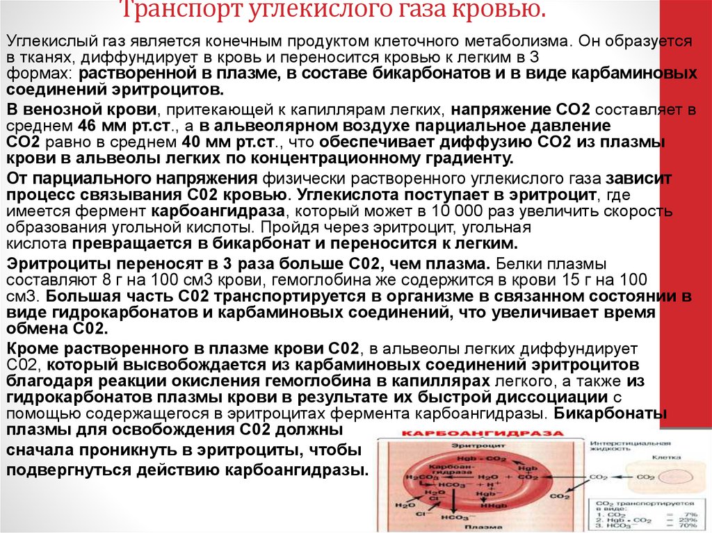 Транспорт углекислого газа кровью.