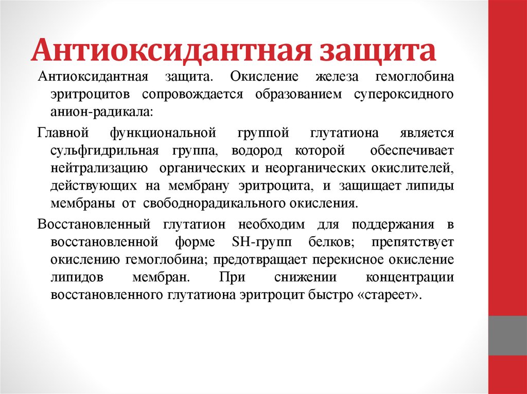 Антиоксидантная защита