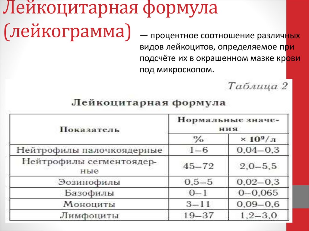 Лейкоцитарная формула (лейкограмма)