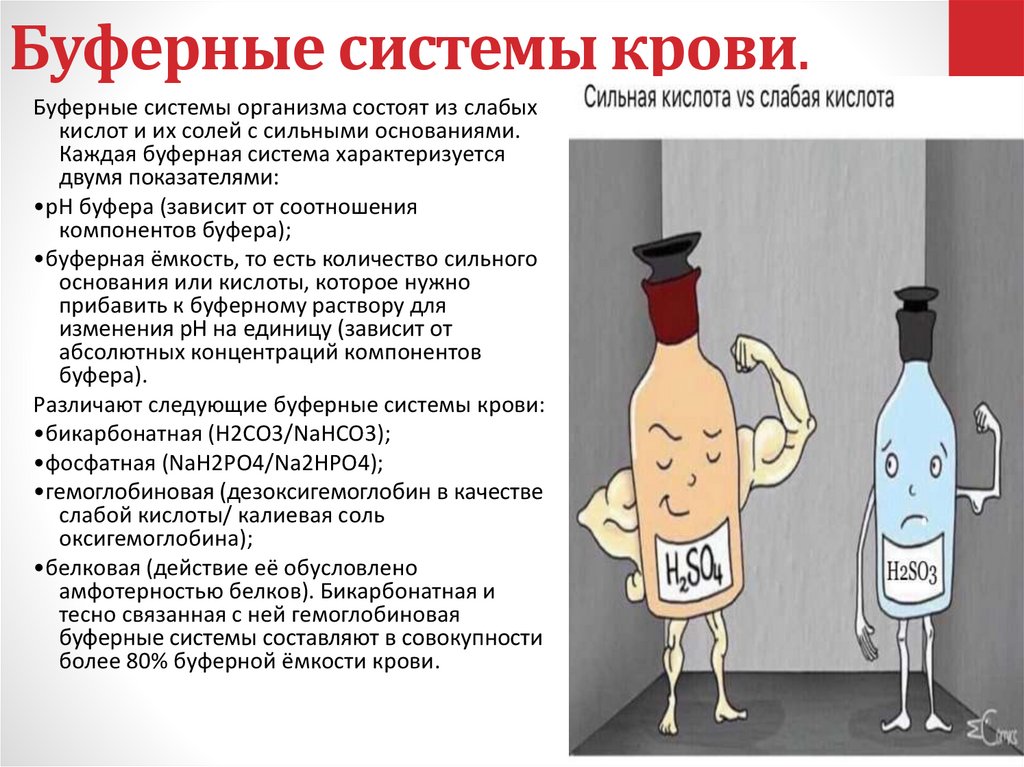 Буферные системы крови.