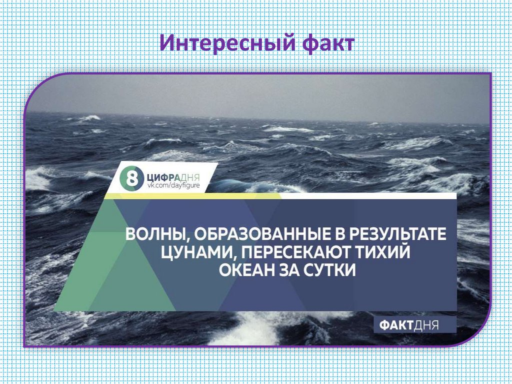 Интересный факт