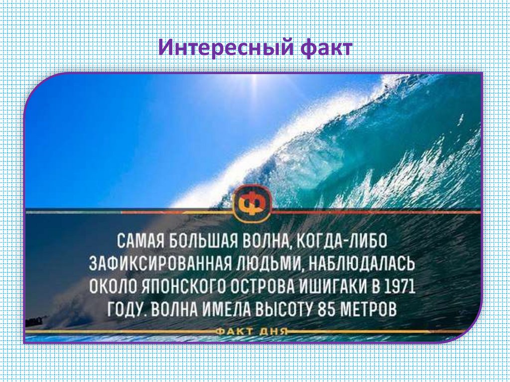 Интересный факт
