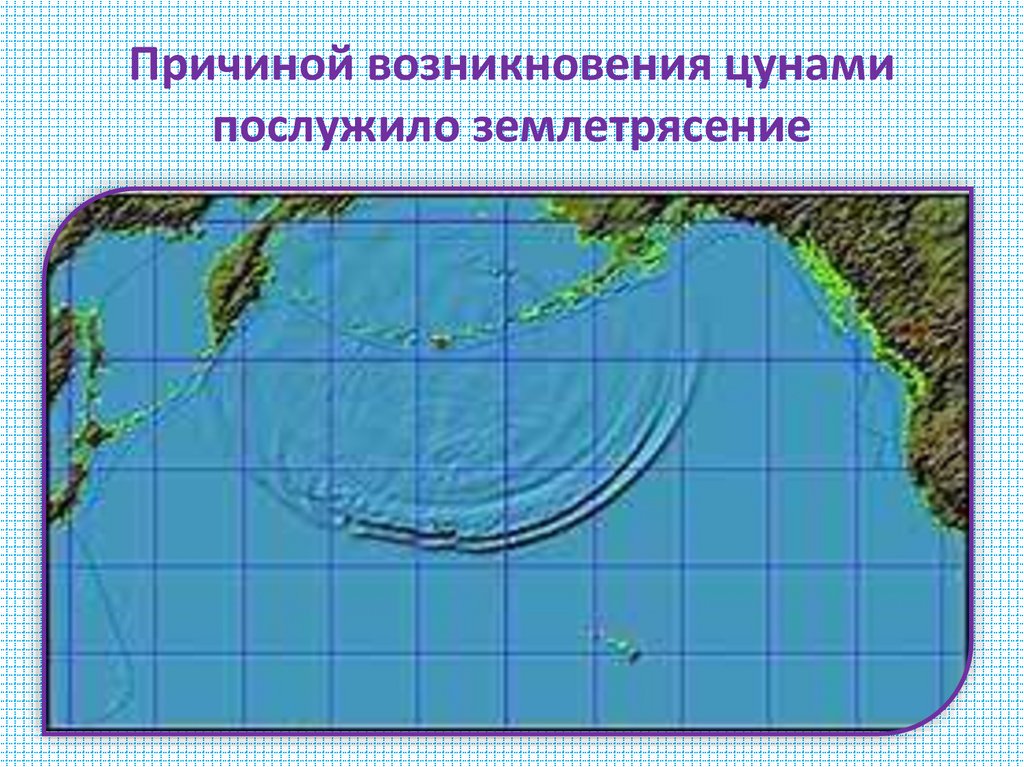 Причиной возникновения цунами послужило землетрясение