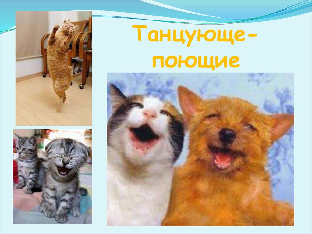 Танцующе-поющие