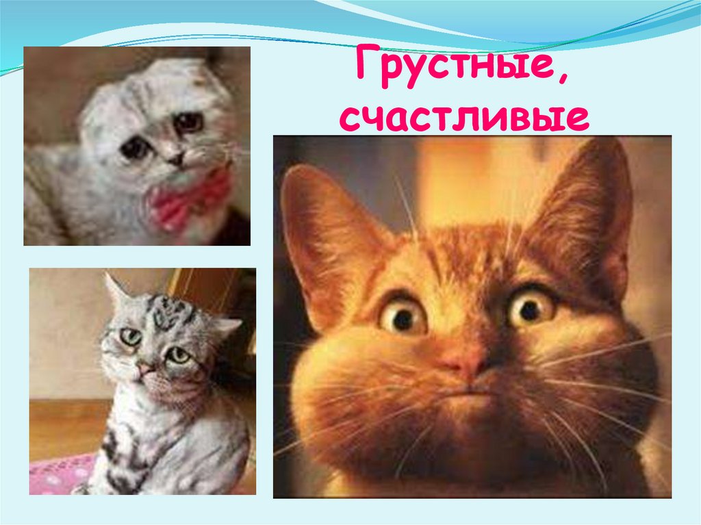 Грустные, счастливые