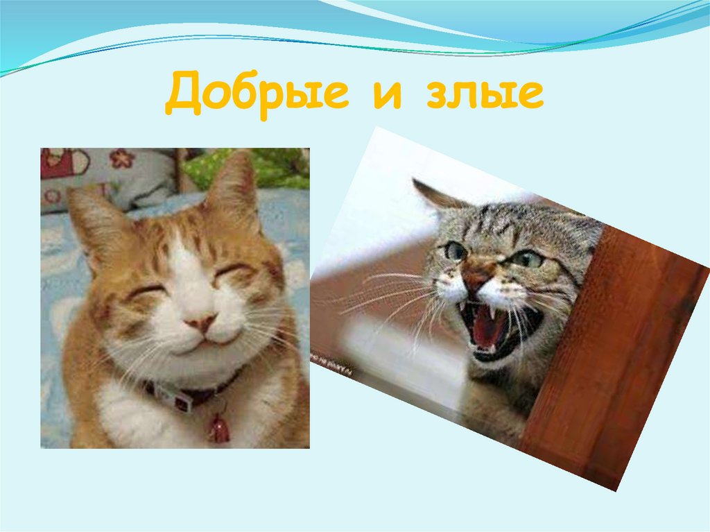Добрые и злые