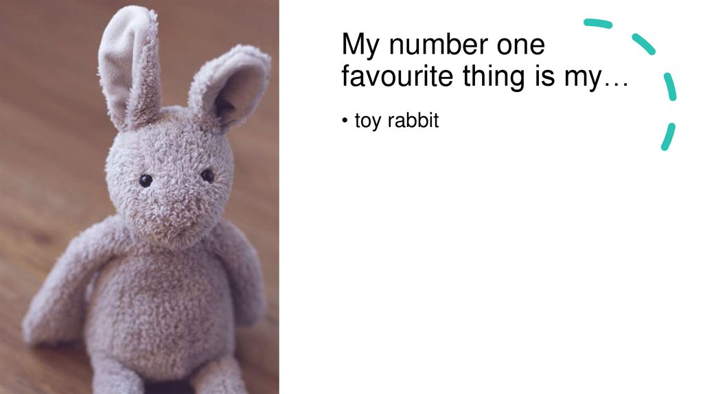 My number one favourite thing is my…