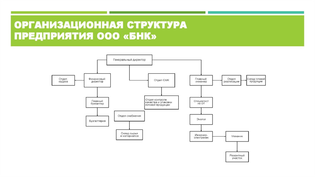 ОРГАНИЗАЦИОННАЯ СТРУКТУРА ПРЕДПРИЯТИЯ ООО «БНК»