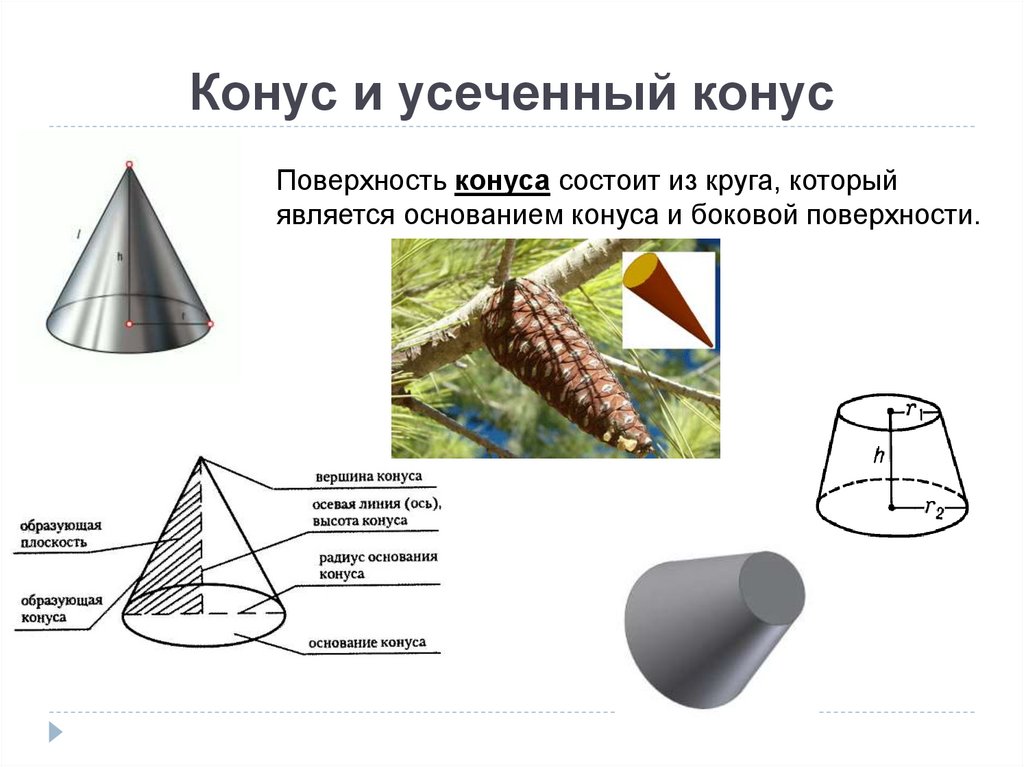 Конус и усеченный конус