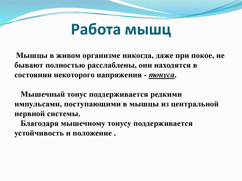 Работа мышц