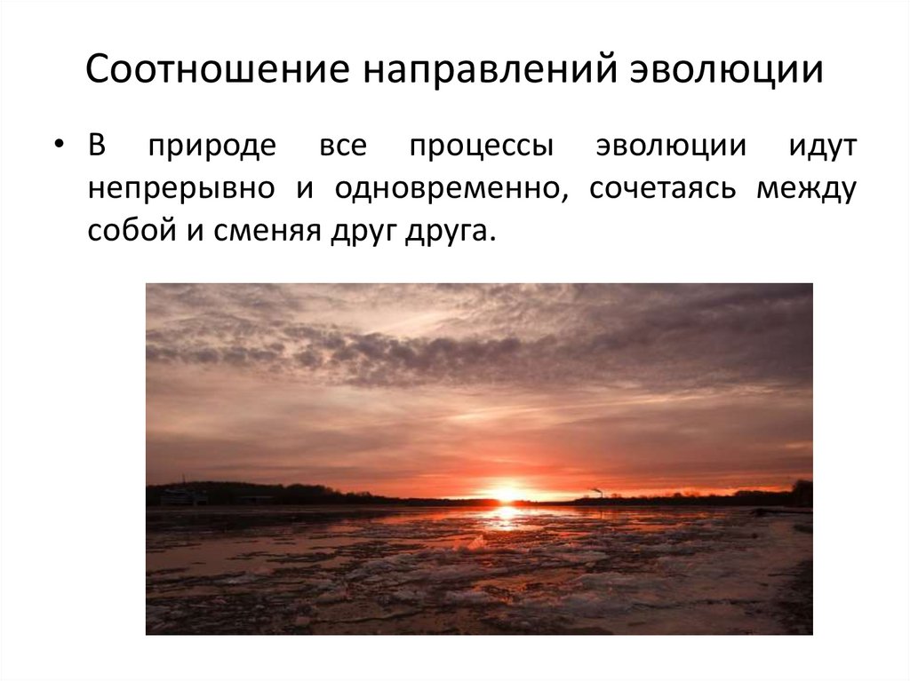 Соотношение направлений эволюции