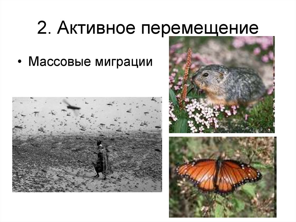 2. Активное перемещение