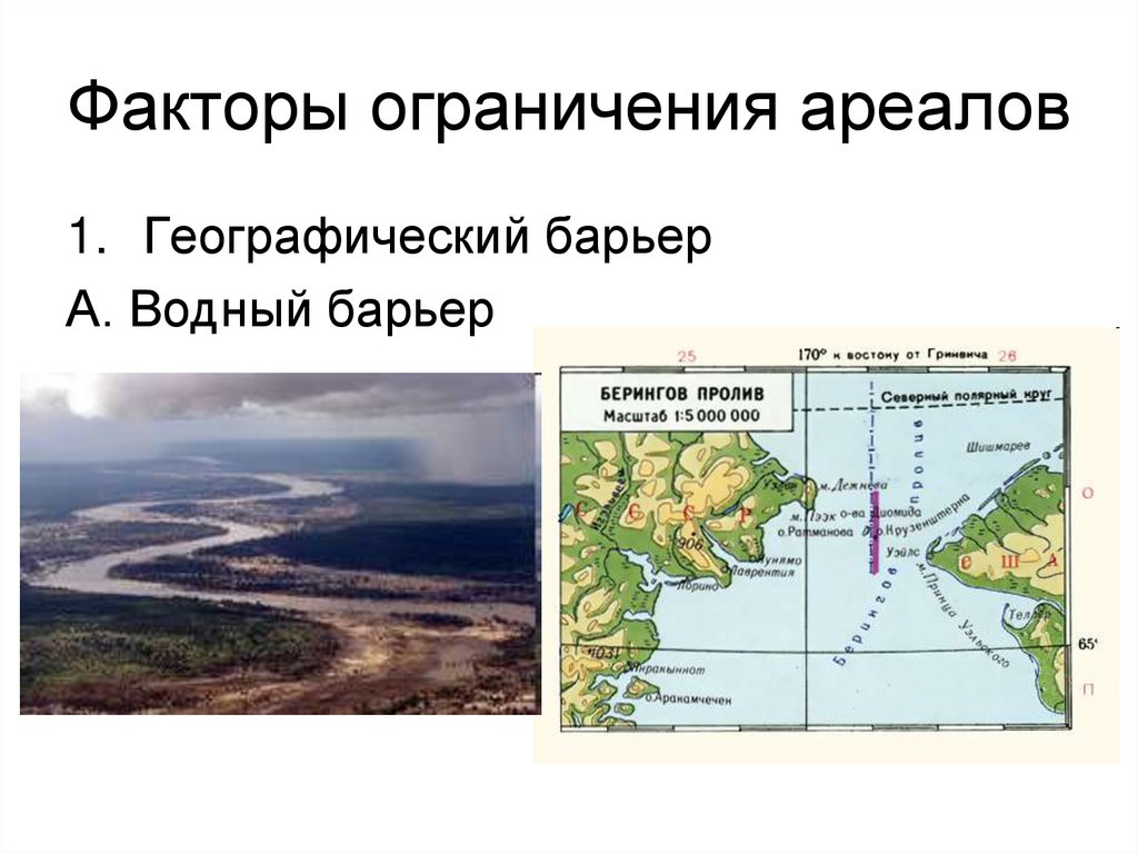 Факторы ограничения ареалов