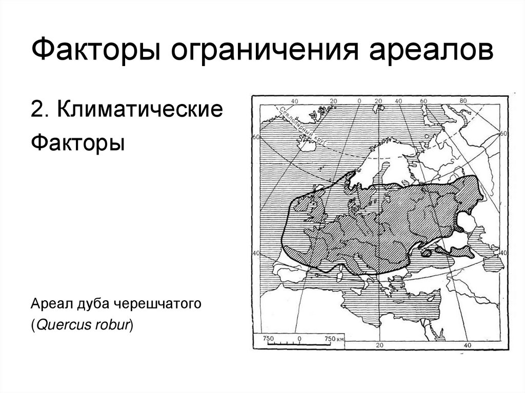 Факторы ограничения ареалов
