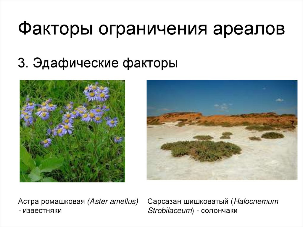 Факторы ограничения ареалов