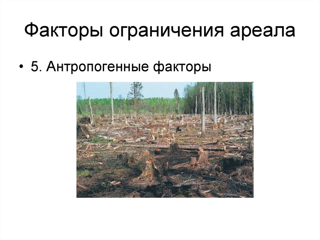 Факторы ограничения ареала