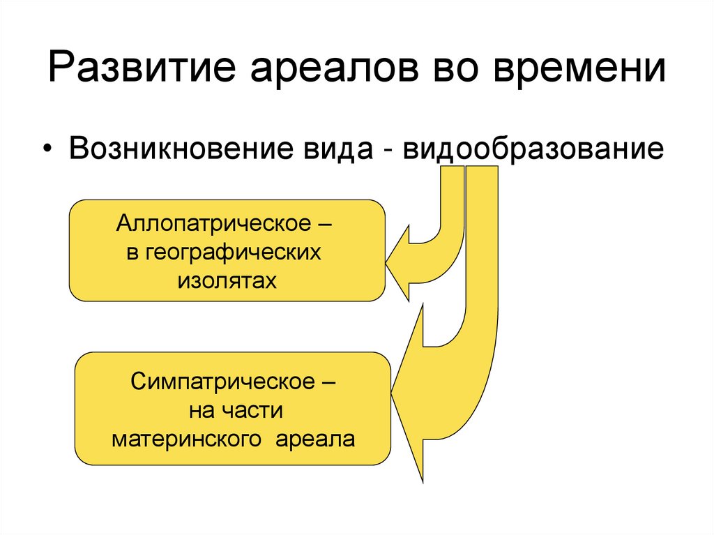 Развитие ареалов во времени