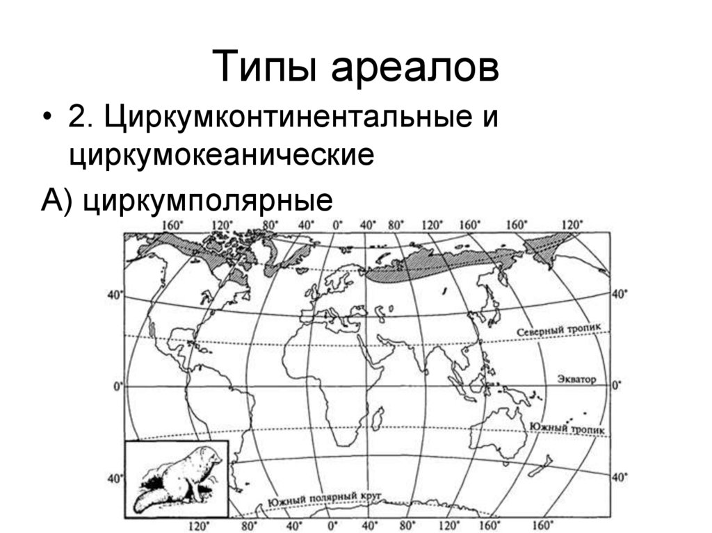 Типы ареалов