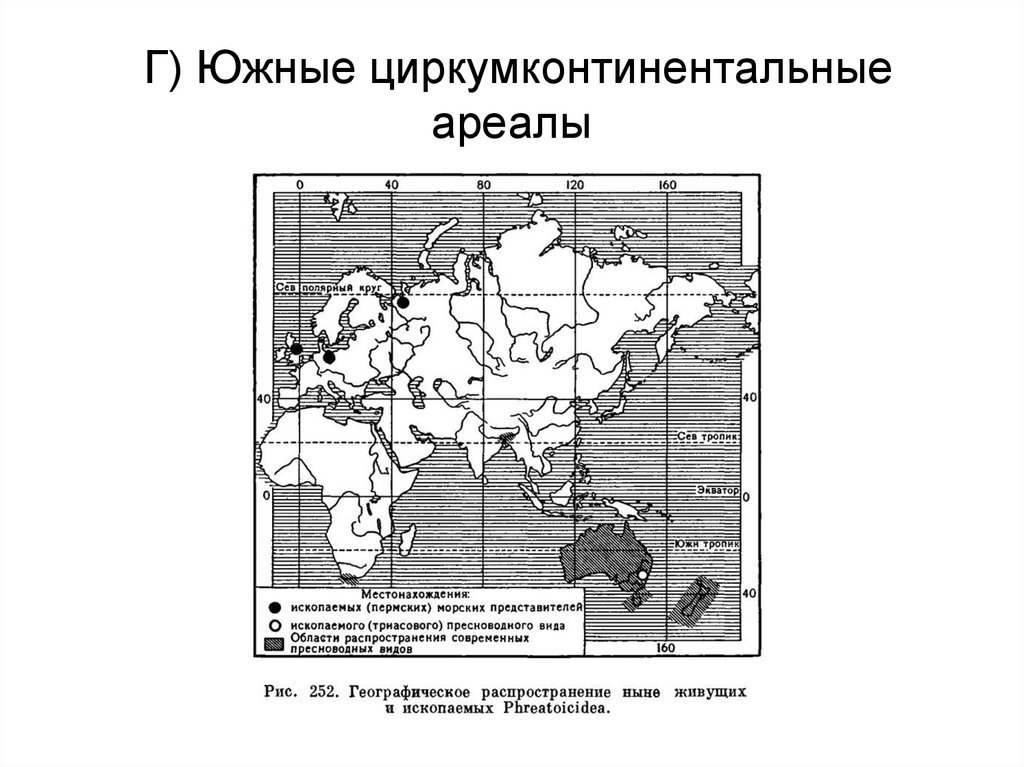 Г) Южные циркумконтинентальные ареалы