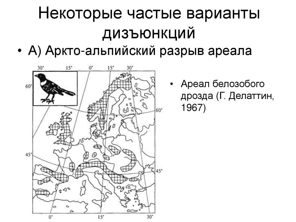 Некоторые частые варианты дизъюнкций