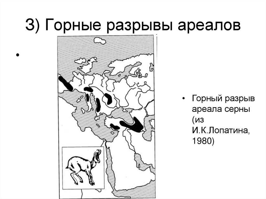 З) Горные разрывы ареалов